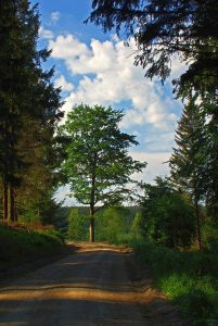 Tränkebachhütte