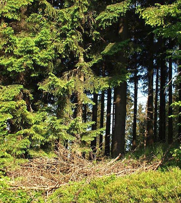 Tränkebachhütte