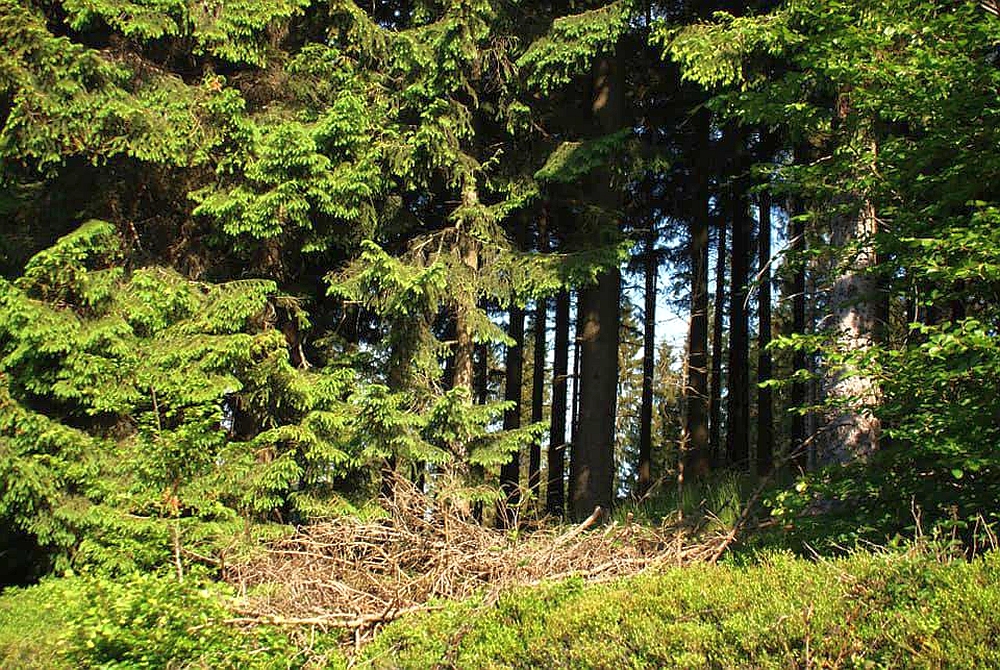 Tränkebachhütte