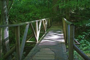 Wolfsbachtal