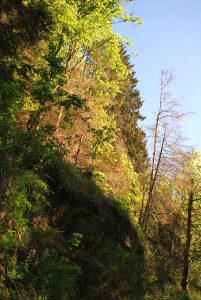 Wolfsbachtal