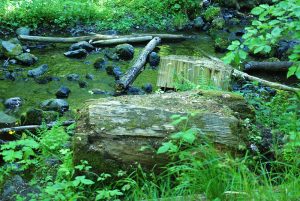 Wolfsbachtal