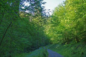 Wolfsbachtal