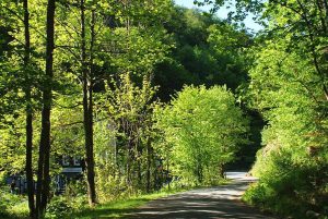 Wolfsbachtal