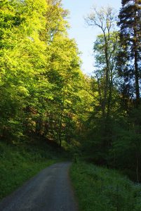 Wolfsbachtal