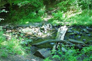 Wolfsbachtal
