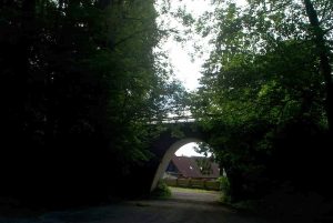 Barenberg