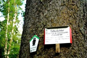 Barenberg