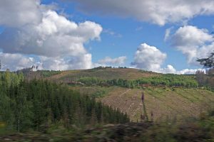 Harzer Schmalspurbahn
