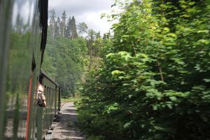 Harzer Schmalspurbahn