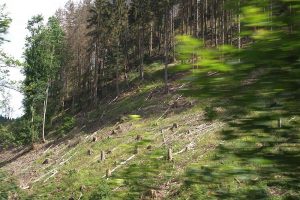 Harzer Schmalspurbahn