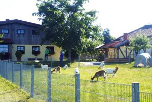 Ziegenalm Sophienhof