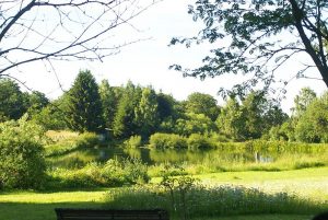 Ziegenalm Sophienhof