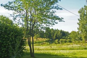 Ziegenalm Sophienhof
