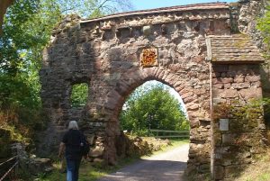 Ruine Hohnstein