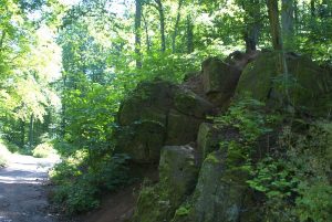 Ruine Hohnstein