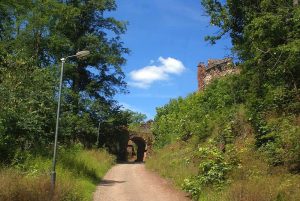 Ruine Hohnstein