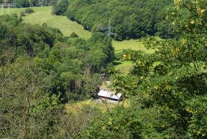 Ruine Hohnstein