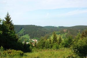 Prinzenlaube