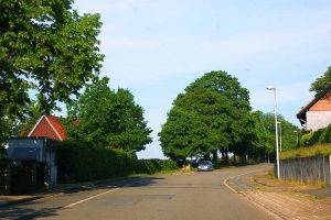 Prinzenlaube