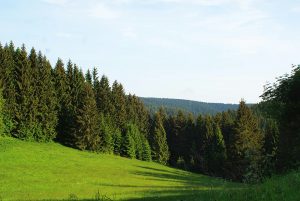 Prinzenlaube