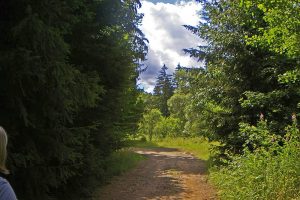 Katzsohlteich