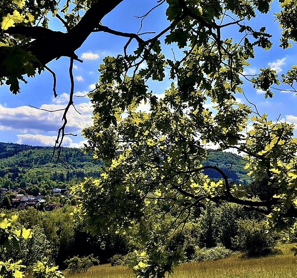 Langenberg