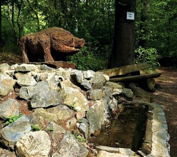 Schweinebrunnen