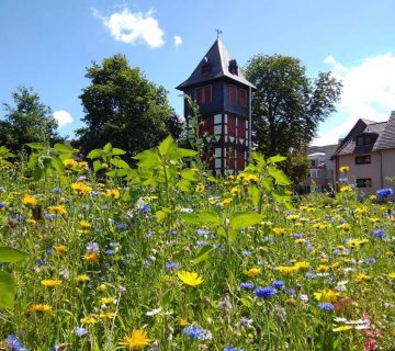 Steigerturm