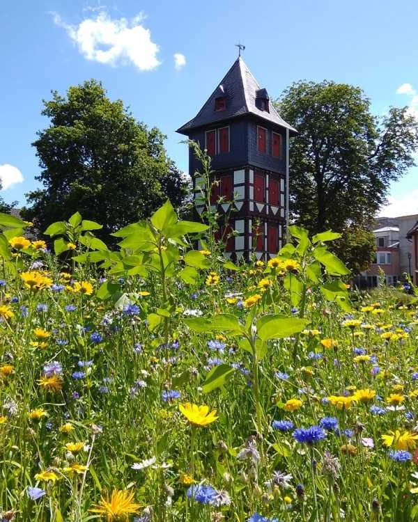 Steigerturm