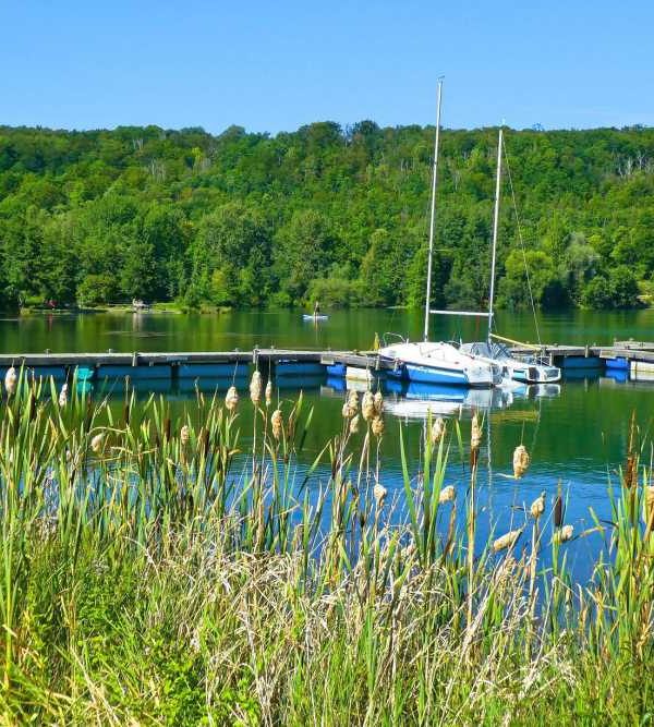 Vienenburger See