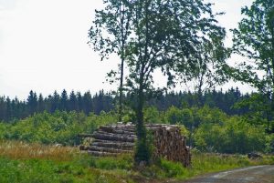 Selkenfelder Schanze