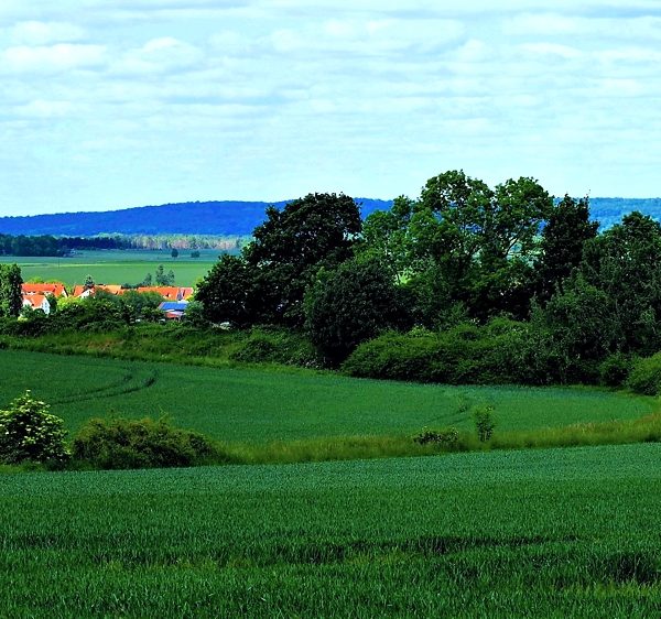 Panorama