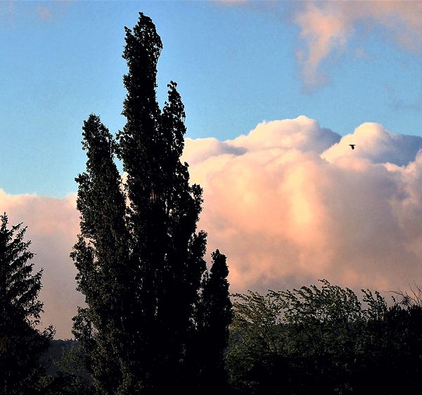 Wolken