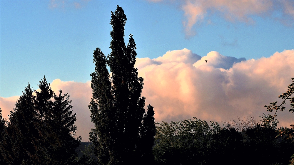 Wolken