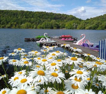 Vienenburger See
