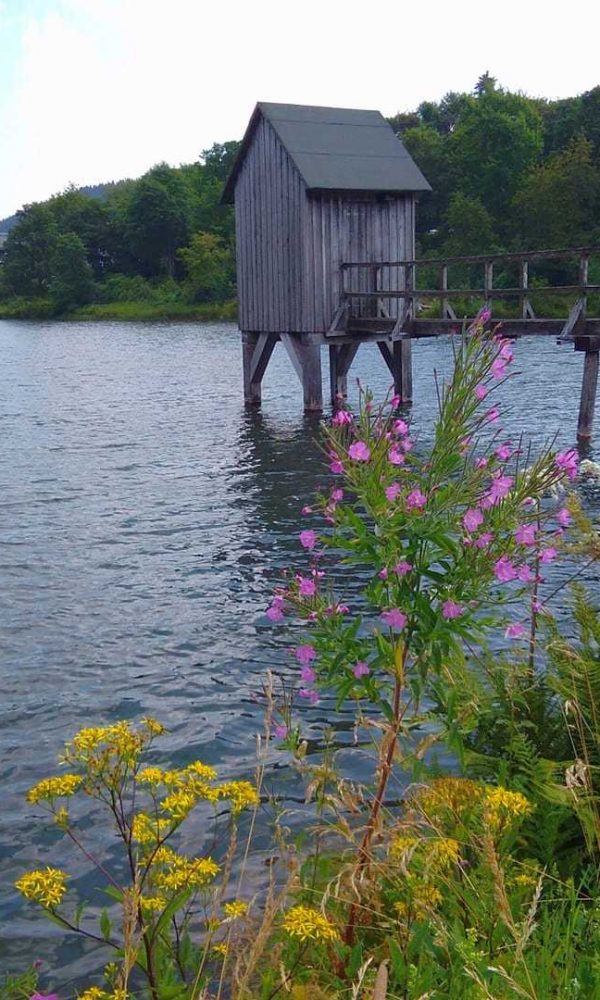 Kranichteich