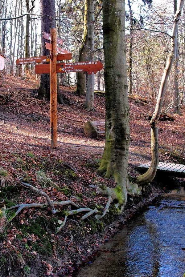 Philosophenweg heute