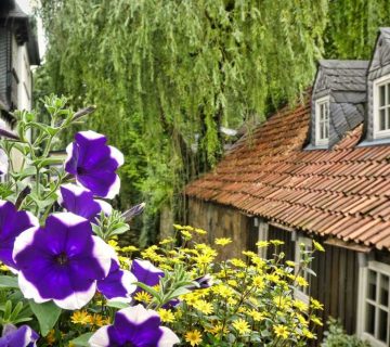 An der Abzucht Goslar