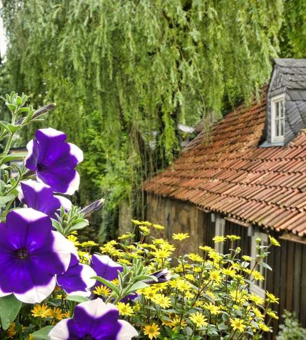 An der Abzucht Goslar