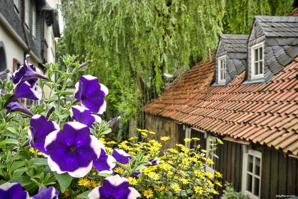 An der Abzucht Goslar