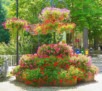 Blumenampel in Bad Harzburg