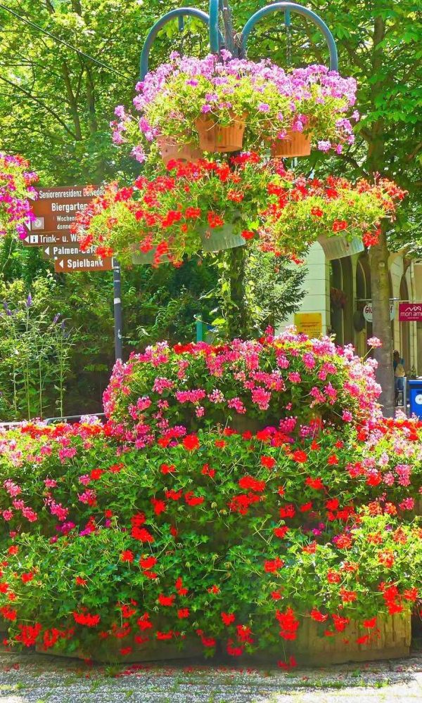 Blumenampel in Bad Harzburg