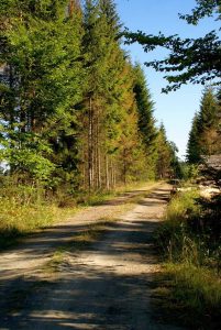 Stempelstelle 64 und 65