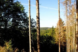 Stempelstelle 64 und 65