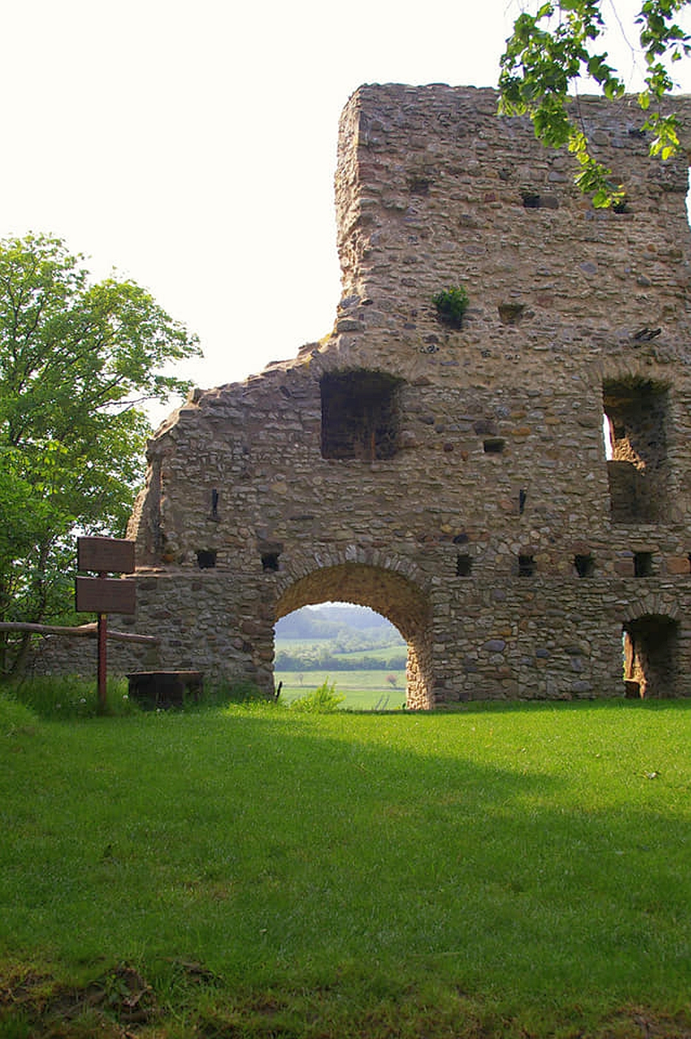 Harzbilder Burgruine Stapelburg