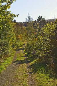 HWN 109 Heimbergsweg