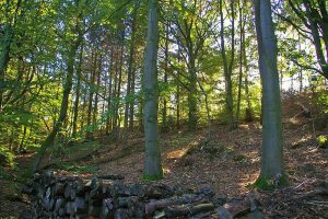 HWN 109 Heimbergsweg