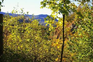 HWN 109 Heimbergsweg
