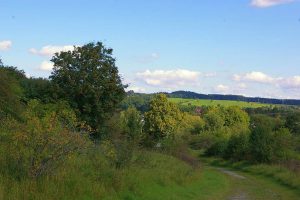 Kalttagebau bei Elbingerode